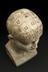 Earthenware phrenological bust