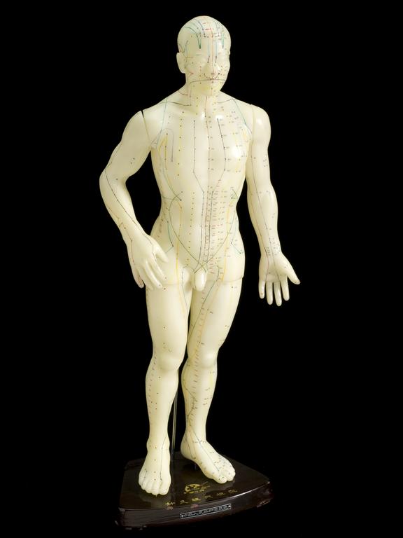 Acupuncture figure, male, Hong Kong, 1970 - 1976