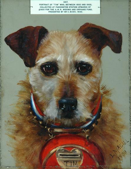 Railway collecting dog Tim (painting; oil painting)