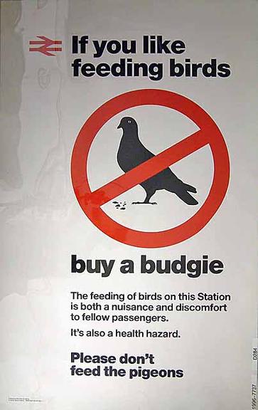 if you like feeding the birds buy a budgie (poster)