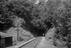 Sellick Photograph Collection