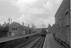 Sellick Photograph Collection