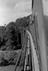 Sellick Photograph Collection