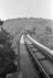 Sellick Photograph Collection