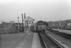 Sellick Photograph Collection