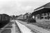 Sellick Photograph Collection