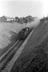 Sellick Photograph Collection