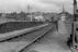 Sellick Photograph Collection
