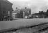 Sellick Photograph Collection