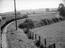 Sellick Photograph Collection