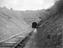 Sellick Photograph Collection