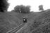 Sellick Photograph Collection