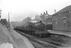 Sellick Photograph Collection