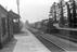 Sellick Photograph Collection