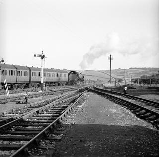 Sellick Photograph Collection
