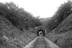 Sellick Photograph Collection