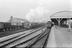 Sellick Photograph Collection