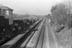 Sellick Photograph Collection