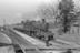 Sellick Photograph Collection
