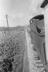 Sellick Photograph Collection