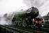 Steam locomotive 'Green Arrow'