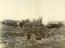 Arthur Trevena collection of photographs