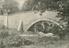 Arthur Trevena collection of photographs