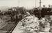 Arthur Trevena collection of photographs