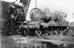 Arthur Trevena collection of photographs