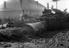 Arthur Trevena collection of photographs