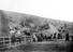 Arthur Trevena collection of photographs