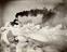 Arthur Trevena collection of photographs