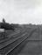 Arthur Trevena collection of photographs