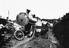 Arthur Trevena collection of photographs