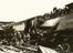 Arthur Trevena collection of photographs