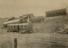 Arthur Trevena collection of photographs