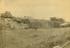 Arthur Trevena collection of photographs