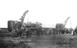 Arthur Trevena collection of photographs