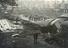 Arthur Trevena collection of photographs