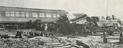 Arthur Trevena collection of photographs