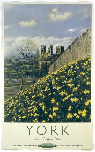 York in Daffodil Time