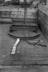 Gorton Collection