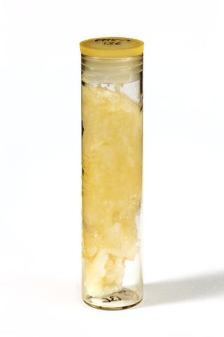 Sample of Whitfield's Ointment BPC