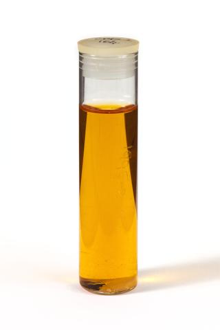 Sample of Cusson's Imperial Leather Family Shampoo