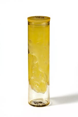 Sample of Thermogene Medicated Rub.