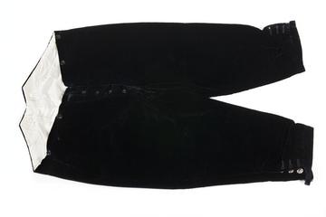 Court dress breeches