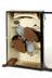 Lord Kelvin's electrostatic voltmeter