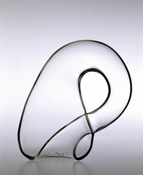 Part of Klein bottle cut to form two single-twist Mobius strips