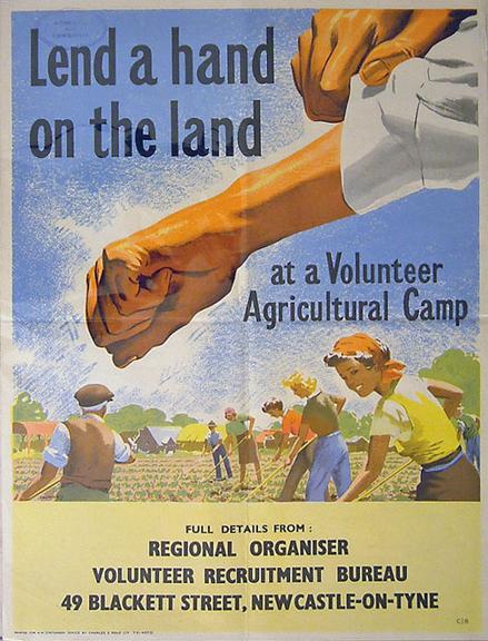 Lend a Hand on the Land at a Volunteer Agricultural Camp