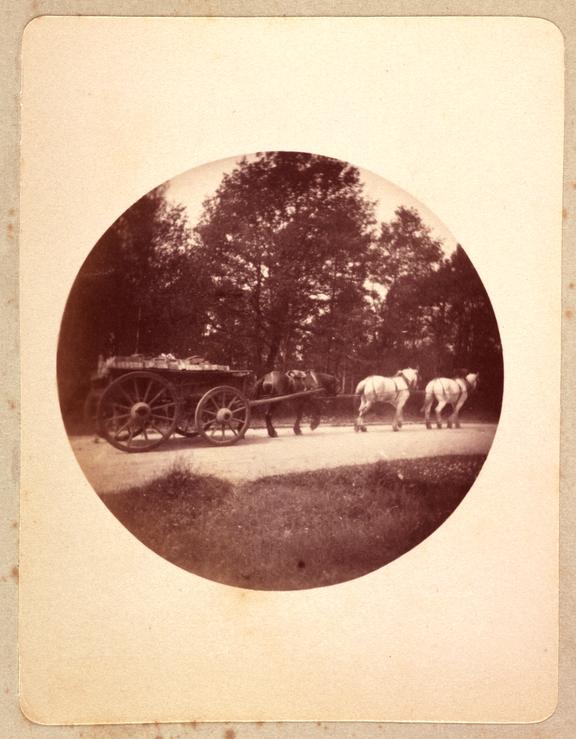 Three horses pulling a wagon